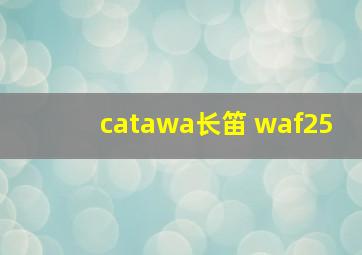 catawa长笛 waf25